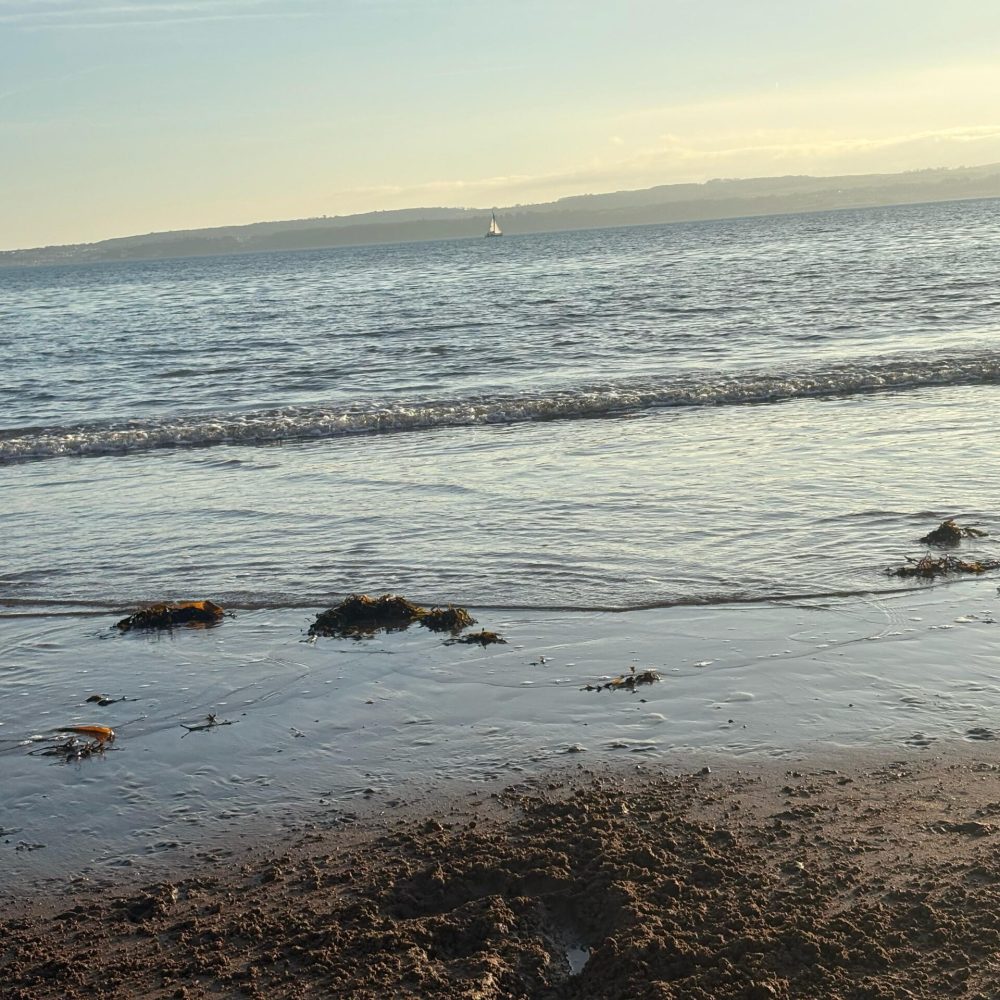 IMG-20250311-WA0037