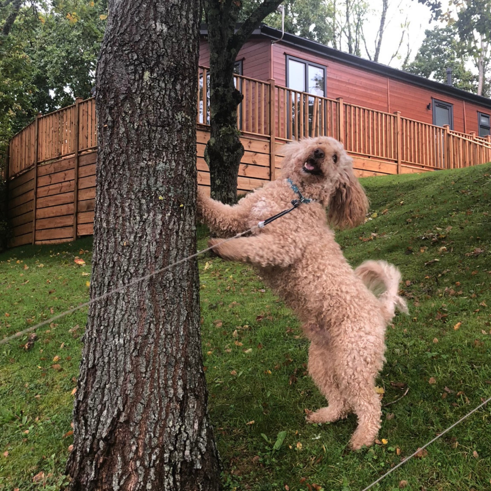 IMG_6455.png